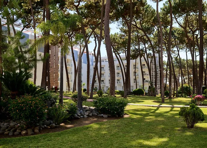 Mejores Hoteles Baratos en Marbella Playa